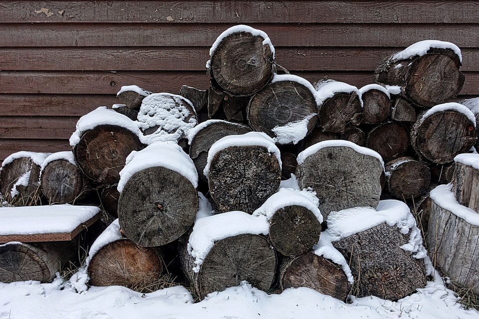 Forst & Holz